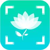 Plant Seed Snap 1.4