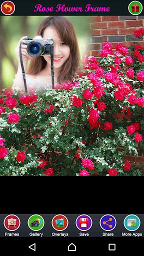 Rose Flower Frame screenshot 1