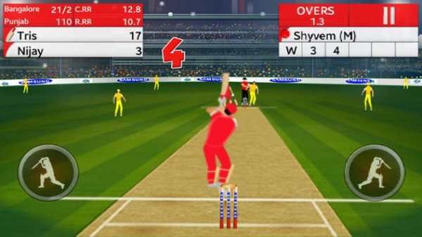 Play Cricket screenshot 4