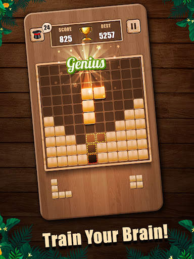 Wooden 100 Block Puzzle screenshot 8