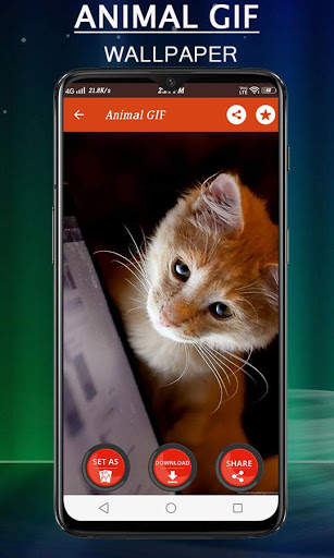 Animal Gif Stickers screenshot 15