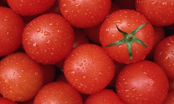 Tomatoes Wallpapers screenshot 1