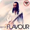 Flavour Song - Offline logo