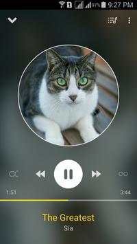 Music Player 8 تصوير الشاشة