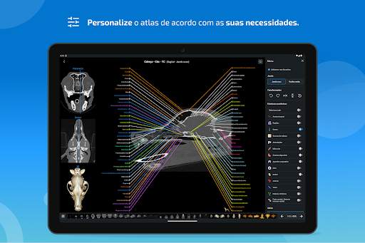 vet-Anatomy screenshot 14