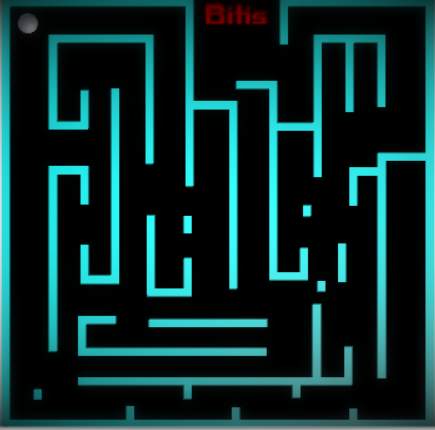 Expert Maze screenshot 1