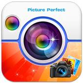 Picture Perfect 1