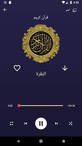 Quran e Kareem MP3 Offline screenshot 5