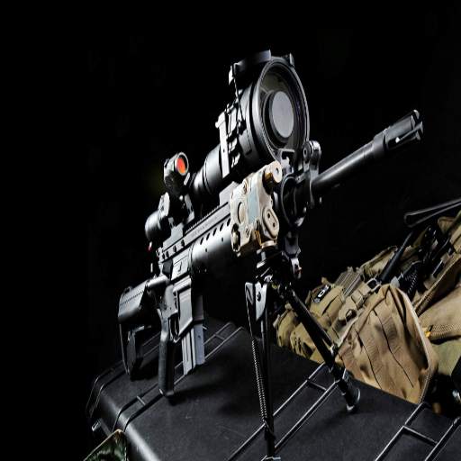 Sniper shoot 1.0