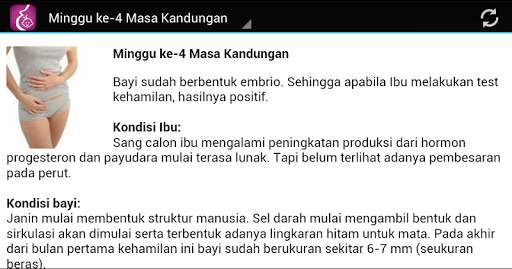 PANDUAN IBU HAMIL BAYI BALITA 11 تصوير الشاشة