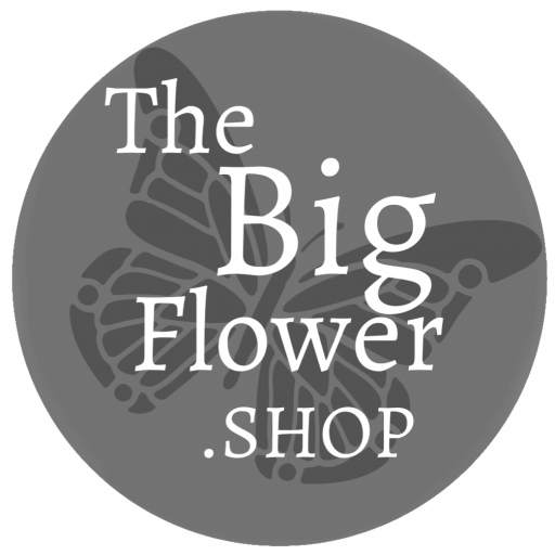 Big Flower Shop 1.0.4