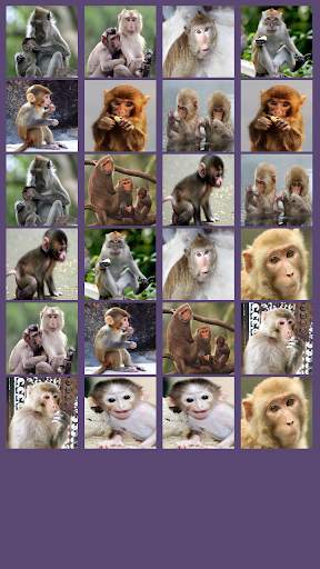 Monkey Memory Game screenshot 3