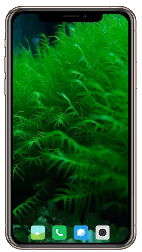 Nice Green Wallpaper screenshot 14