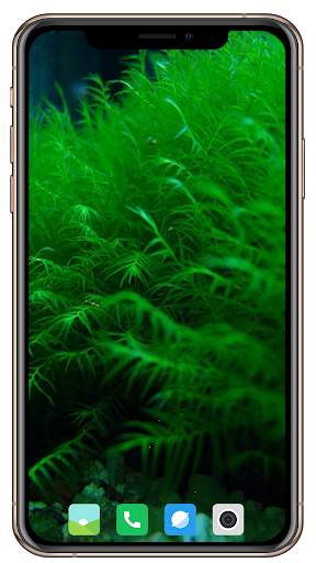 Nice Green Wallpaper screenshot 14