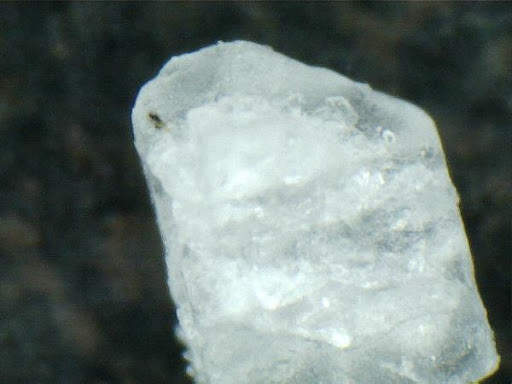 MICROSCOPIO FOTOS screenshot 5