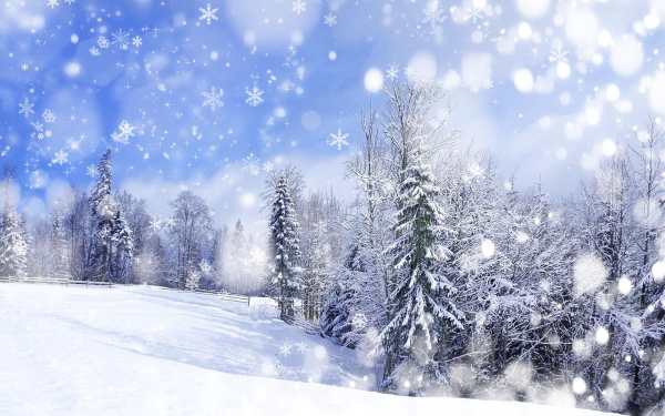 Snow on the Go Live Wallpaper screenshot 7