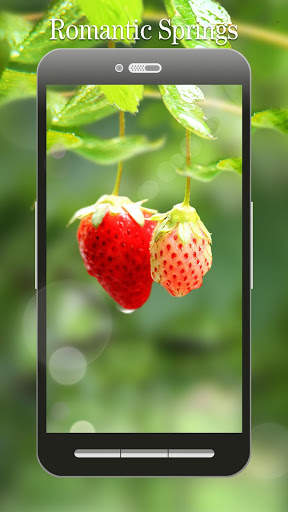 Red Strawberry Live Wallpaper screenshot 3