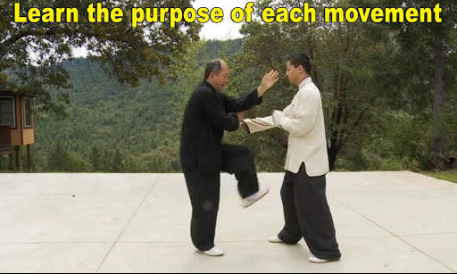 Yang Tai Chi for Beginners 2&3 screenshot 12