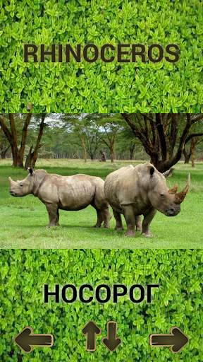 ZOO sounds quiz screenshot 3
