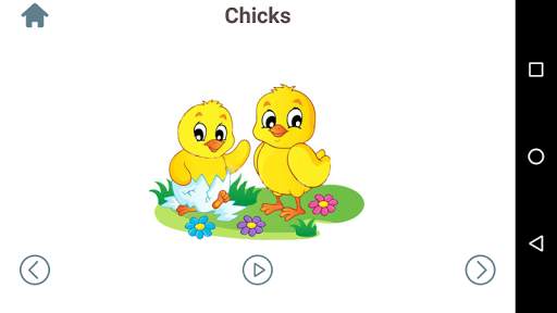 Kids Flashcard game screenshot 5