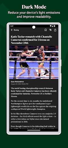 Irish Independent News screenshot 4