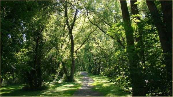 Charming Nature Backgrounds screenshot 3