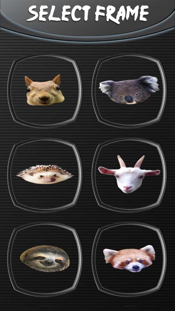 Animal Face Photo Changer 2 تصوير الشاشة
