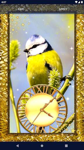 Bird Parrots HD Live Wallpaper screenshot 3