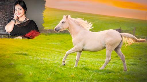 Horse Photo Editor Pic Frames 13 تصوير الشاشة