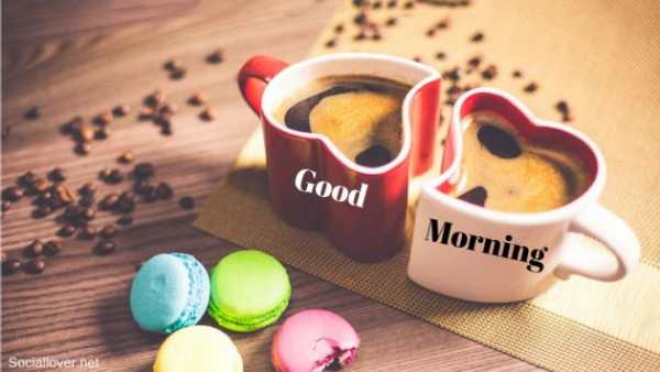 Good Morning Evening wishes images Gif screenshot 3