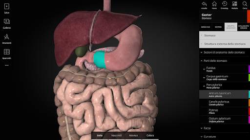 Anatomyka - Anatomia 3D screenshot 16