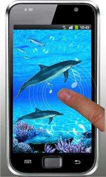 Dolphin Sounds Live Wallpaper screenshot 5