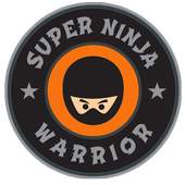 Supergirl ninja adventure 2017 1.4
