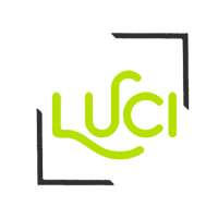 Luci VPN logo