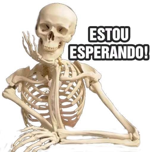 Memes com frases para WhatsApp WAStickersapps 2020 4.8