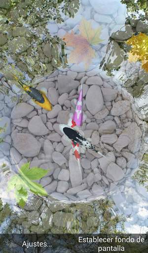 Peces Wallpaper - Fondo de Pantalla screenshot 2