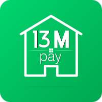 13 MPAY  Agent icon