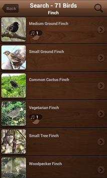 Bird Sounds, Calls, Songs & Ringtones screenshot 3