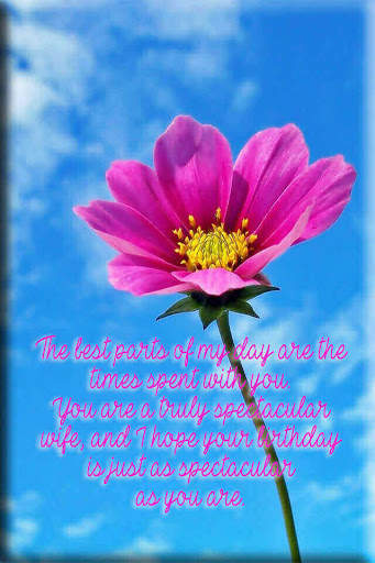 Happy Birthday Wife screenshot 3