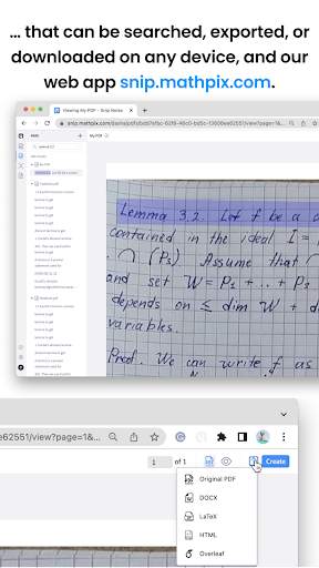Mathpix Snip screenshot 5