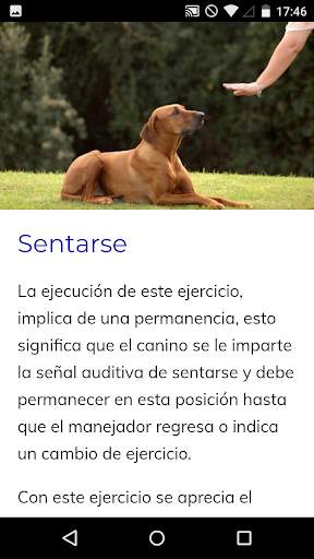 Curso de Adiestramiento Canino screenshot 3