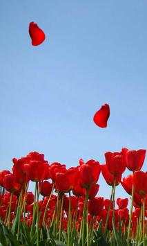 Amazing Tulips live wallpaper screenshot 1