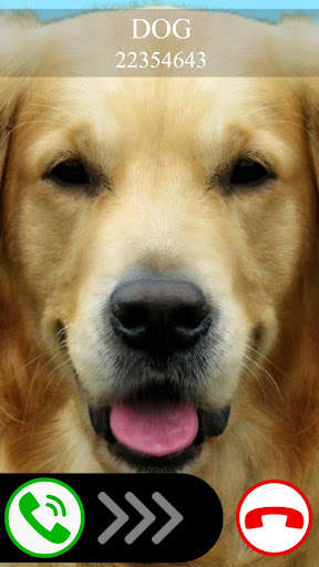 chamada falsa cachorro jogo screenshot 1