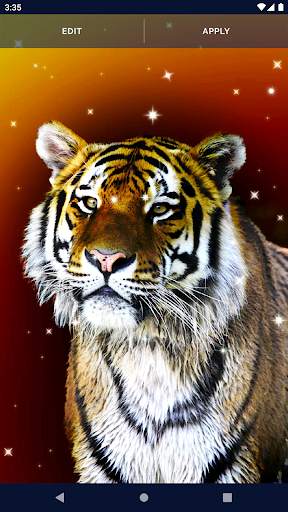 Tiger Live Wallpapers screenshot 4