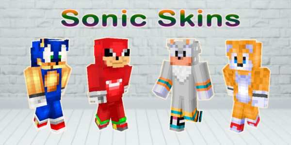 Hedgehog Sonic Skins Minecraft screenshot 1