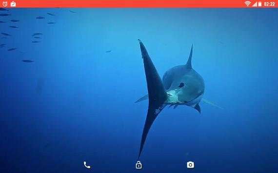 Shark Predator Attack LWP screenshot 6