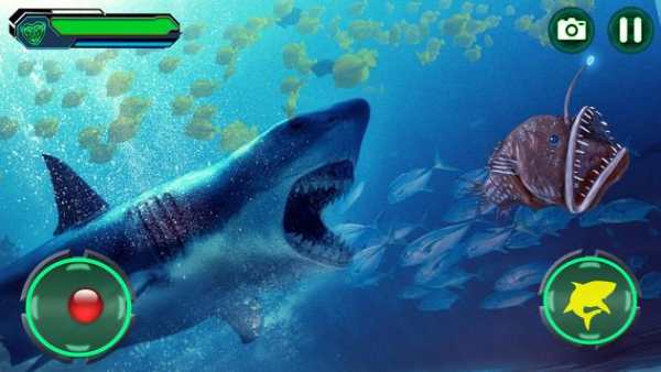 Angry Shark screenshot 1