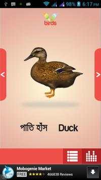 Birds स्क्रीनशॉट 2