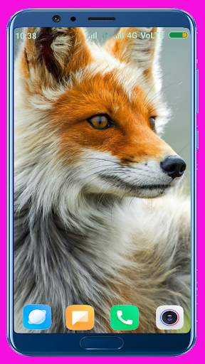 Fox Wallpaper Best 4K screenshot 10