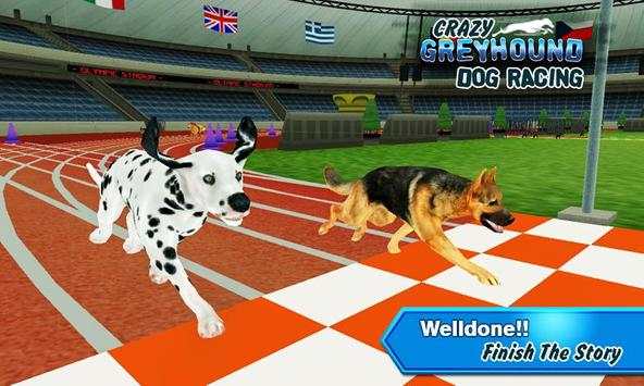 Crazy Greyhound Dog Racing screenshot 8